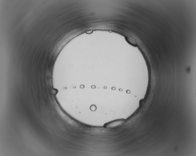 X0000116511433201001061214