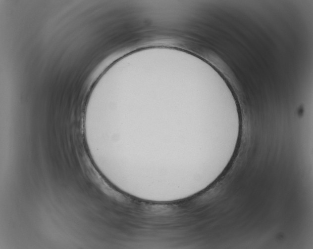 X0000116511436201001061214