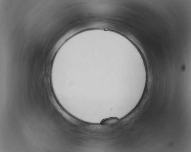 X0000116511437201001061214