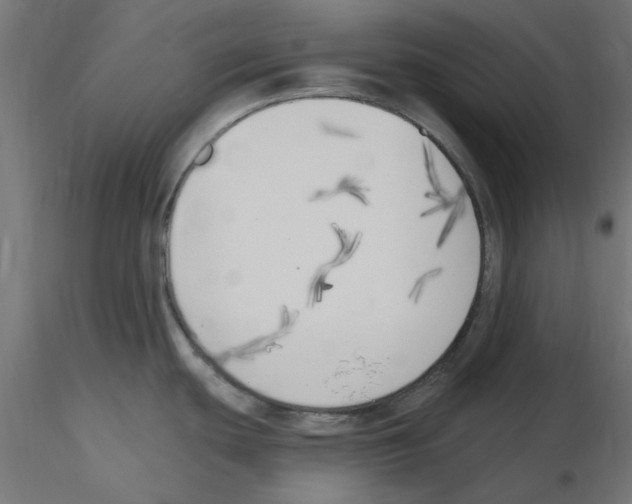 X0000116511439201001061214