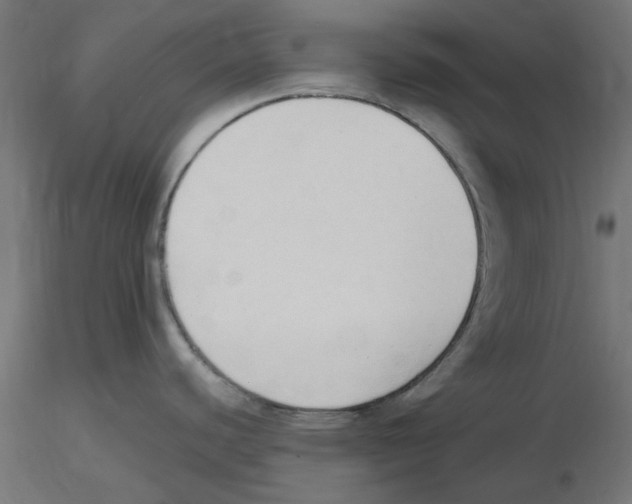 X0000116511440201001061214