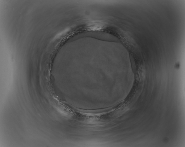 X0000116511441201001061213