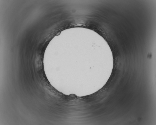 X0000116511442201001061213