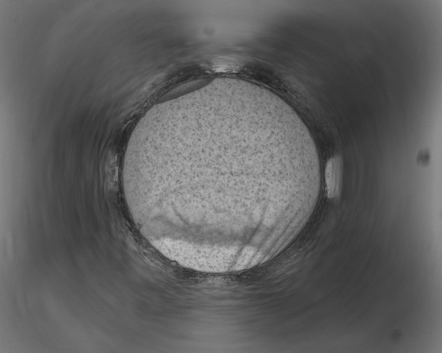 X0000116511443201001061213