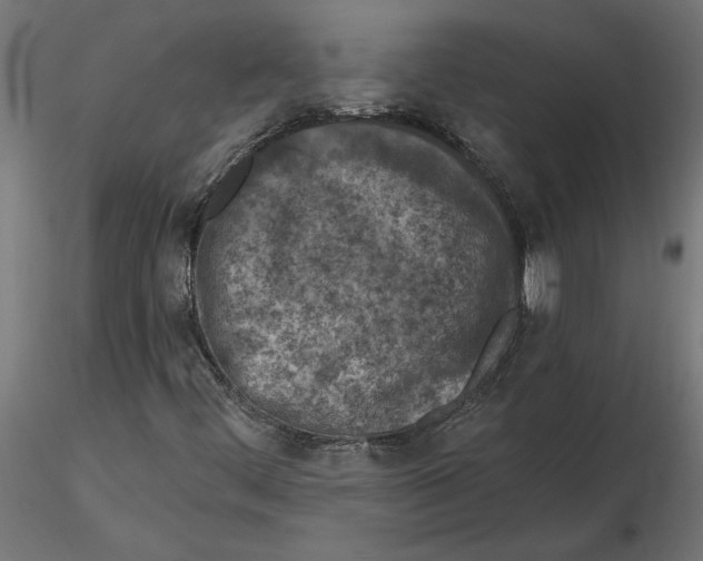 X0000116511444201001061213