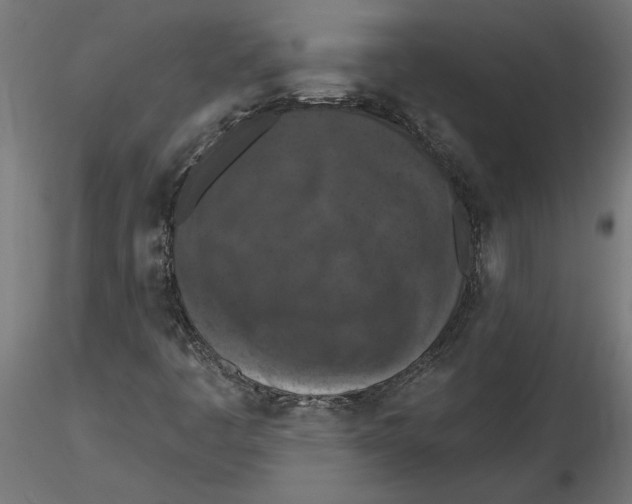 X0000116511445201001061213