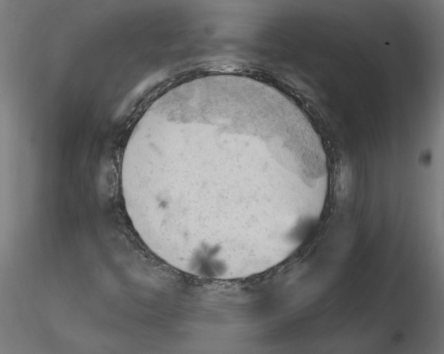 X0000116511446201001061213