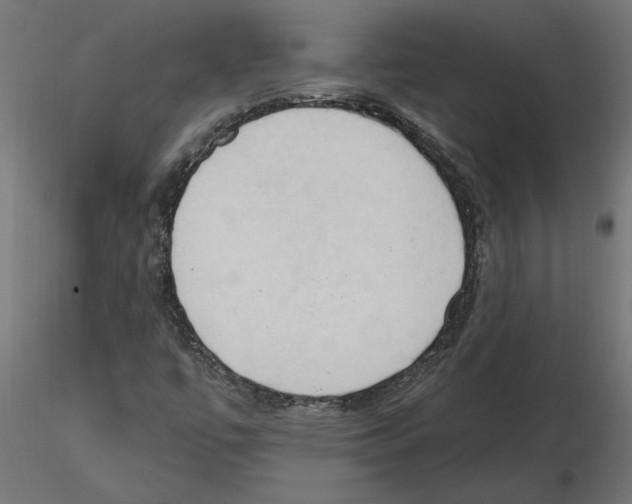 X0000116511447201001061213