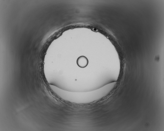 X0000116511448201001061213
