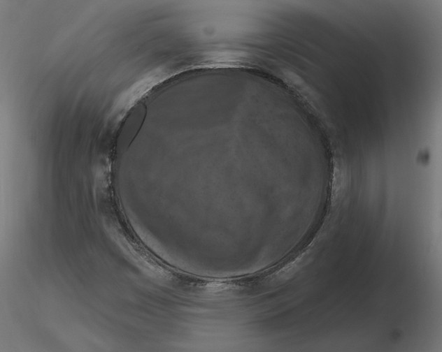 X0000116511449201001061213