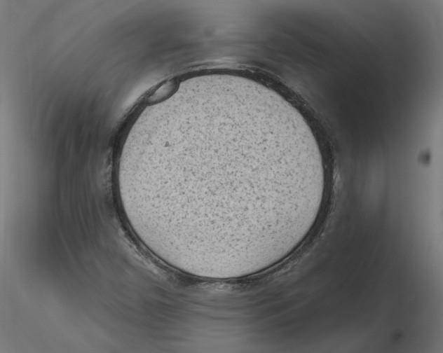 X0000116511450201001061213