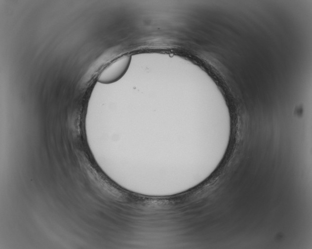 X0000116511451201001061213