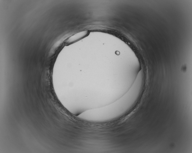 X0000116511453201001061213