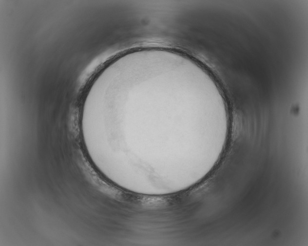 X0000116511454201001061213