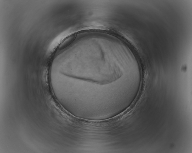 X0000116511455201001061213