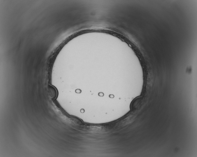 X0000116511456201001061213