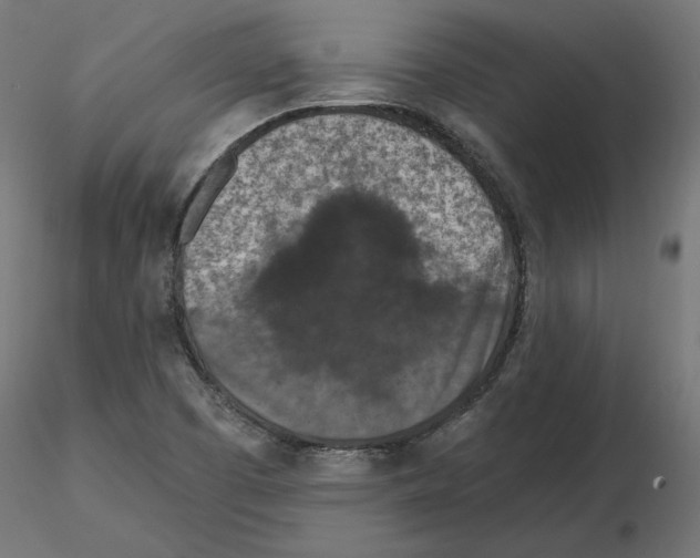X0000116511457201001061213