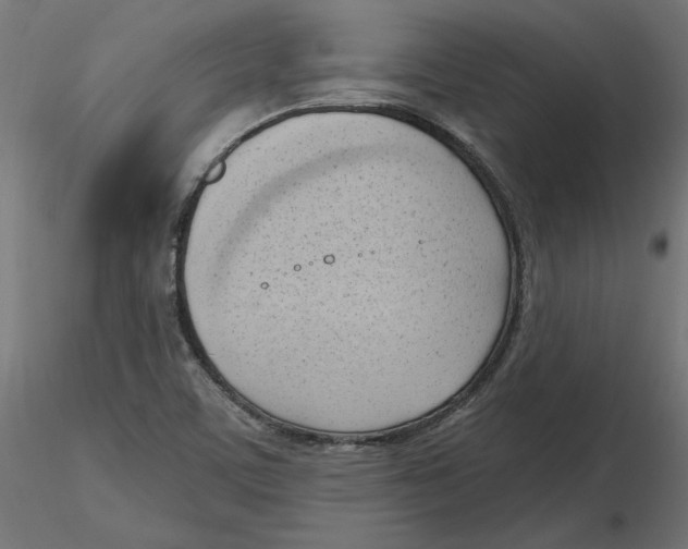 X0000116511459201001061213
