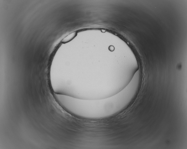 X0000116511460201001061213