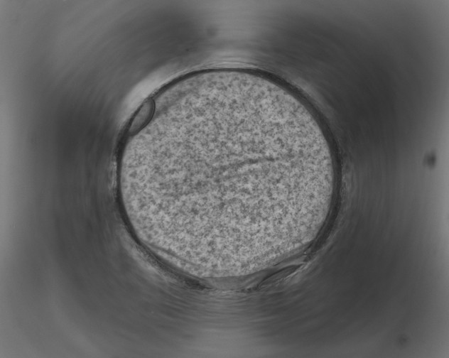 X0000116511461201001061213
