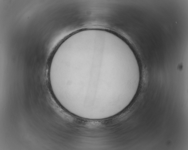 X0000116511462201001061213