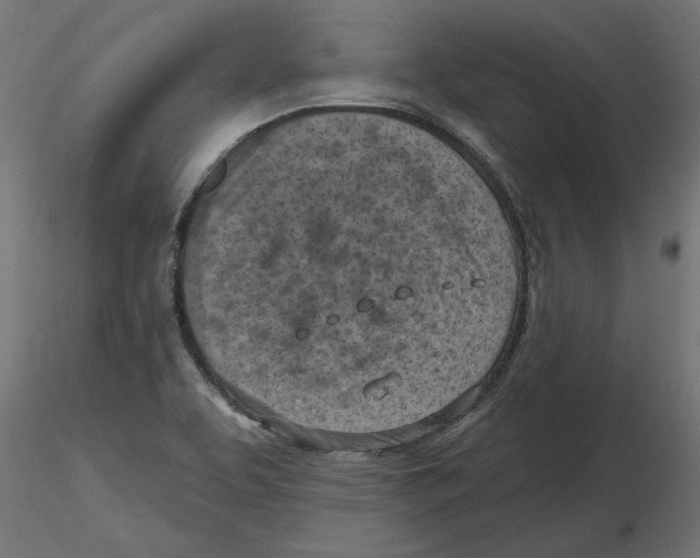 X0000116511463201001061213