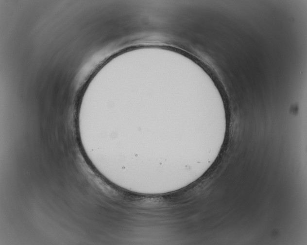 X0000116511464201001061213