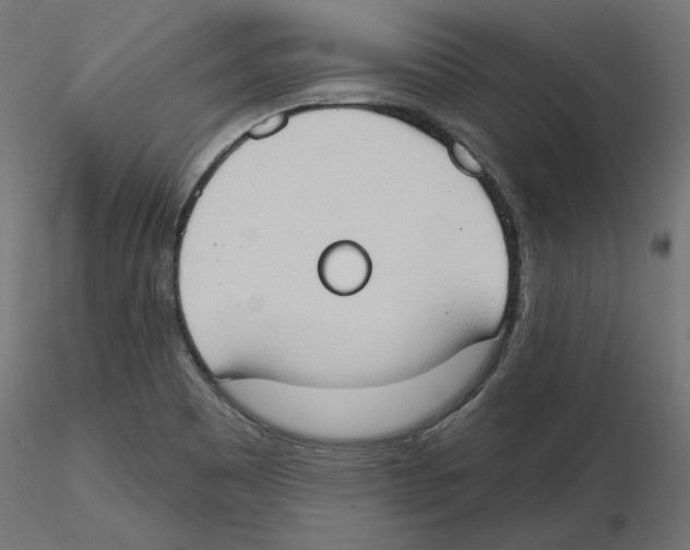 X0000116511465201001061213