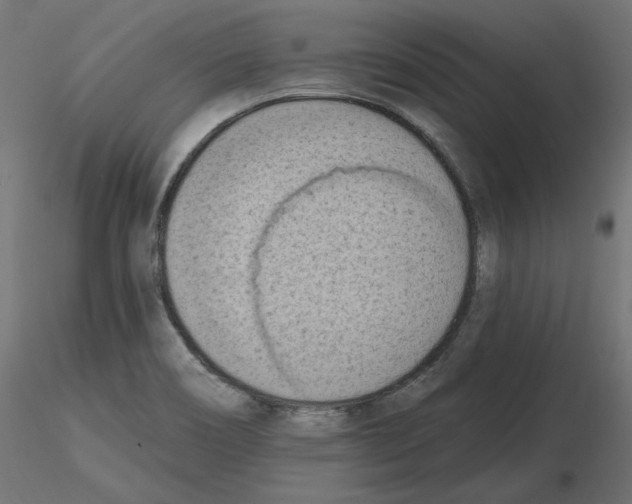 X0000116511466201001061213