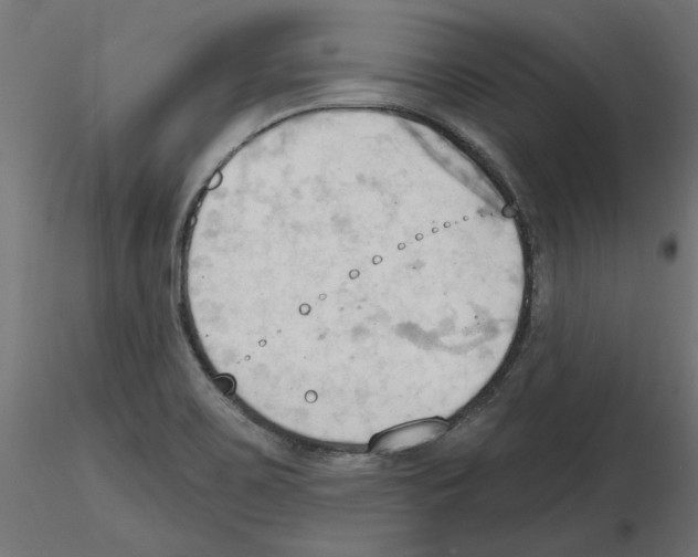 X0000116511467201001061213