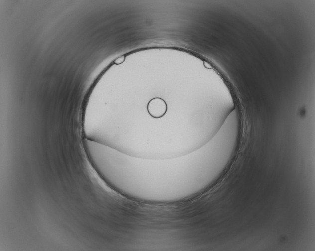 X0000116511468201001061213