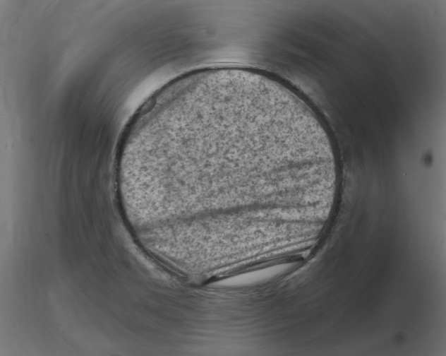 X0000116511469201001061213