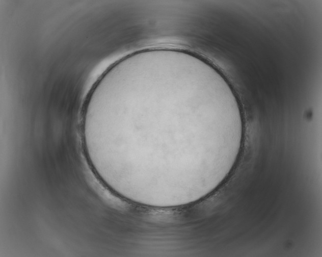 X0000116511470201001061213