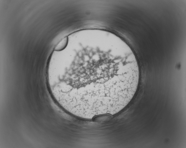 X0000116511471201001061213
