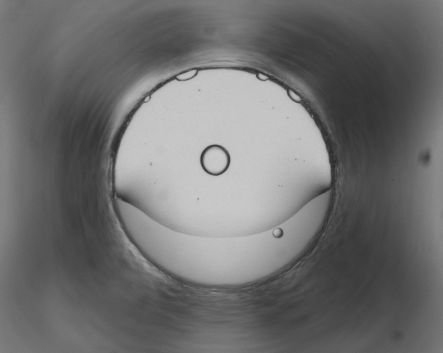 X0000116511472201001061213