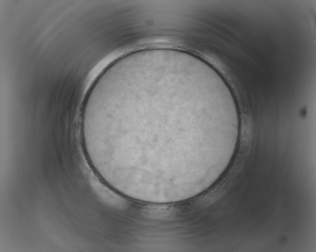 X0000116511474201001061213