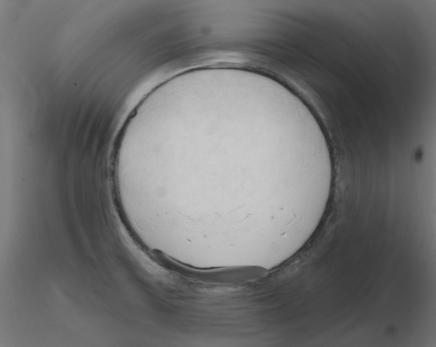X0000116511475201001061213