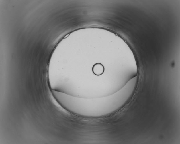 X0000116511476201001061213