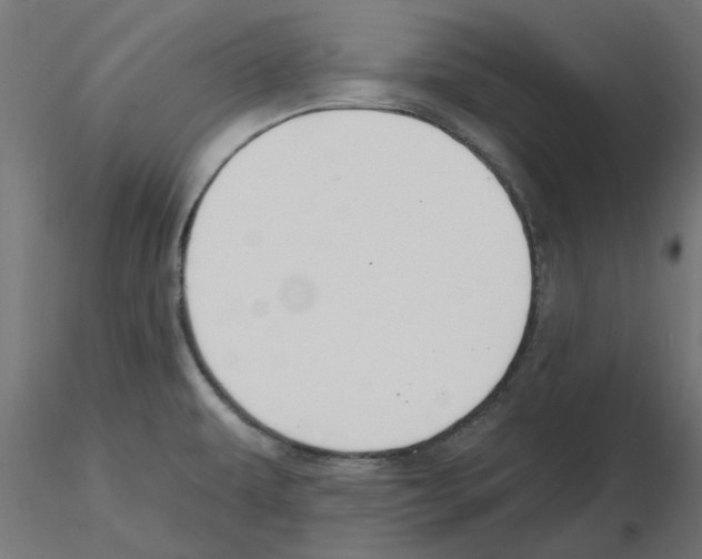 X0000116511479201001061213