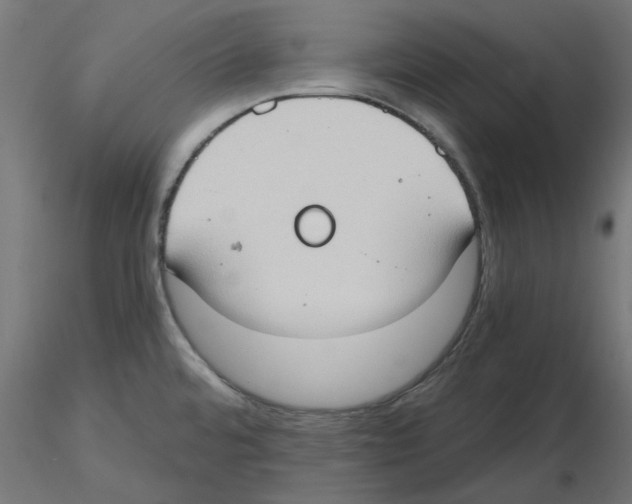 X0000116511480201001061213
