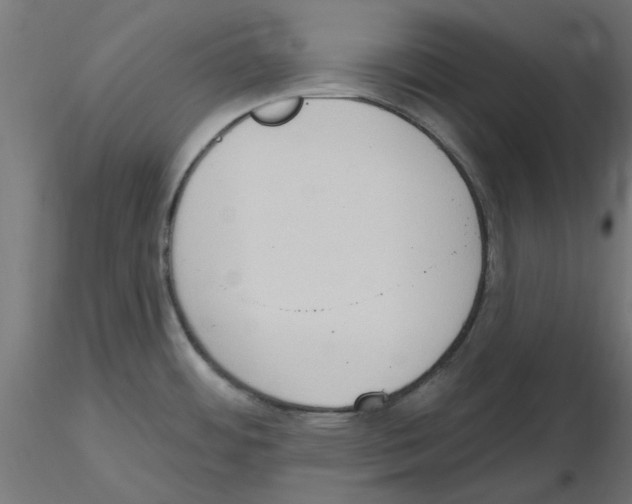 X0000116511484201001061212