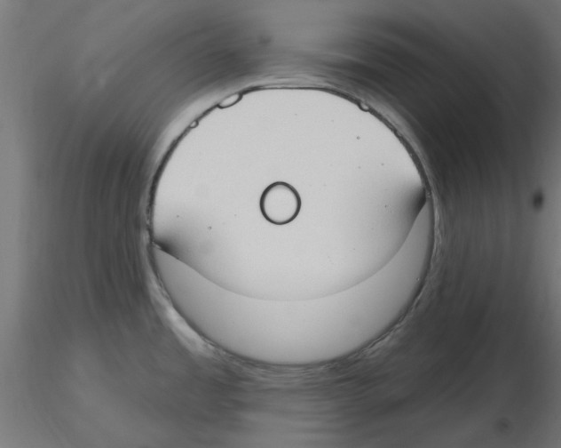 X0000116511485201001061212