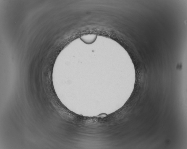 X0000116511489201001061212