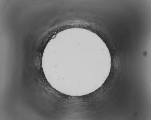 X0000116511493201001061212
