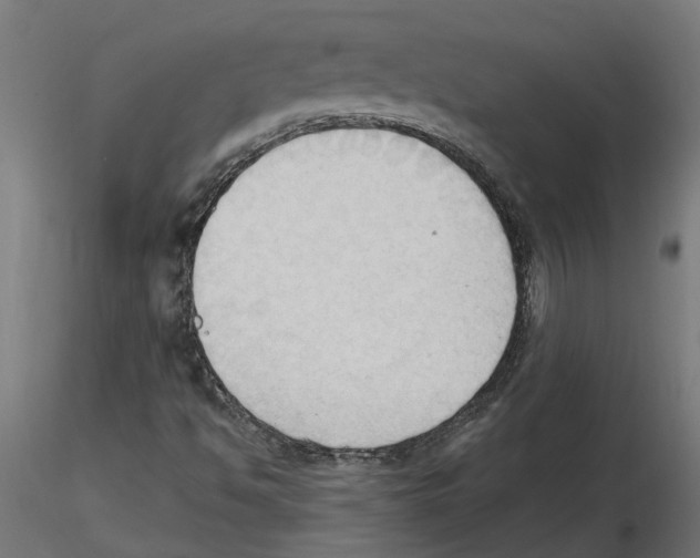 X0000116511494201001061212
