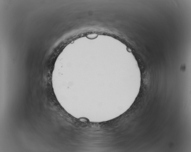 X0000116511495201001061212
