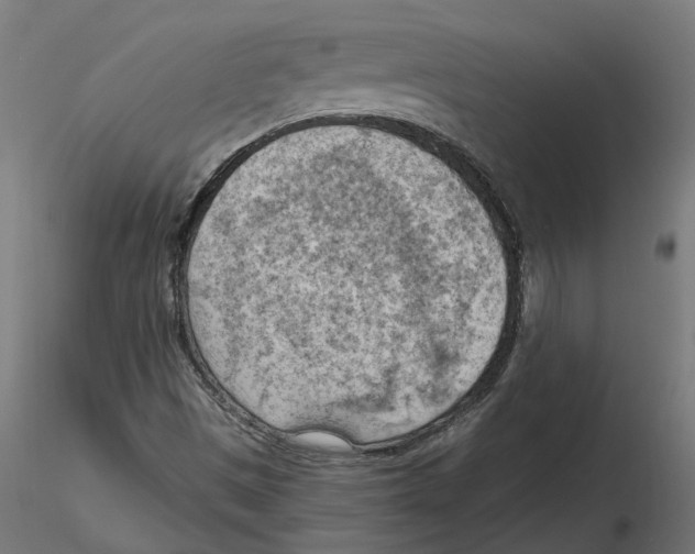 X0000116511497201001061212