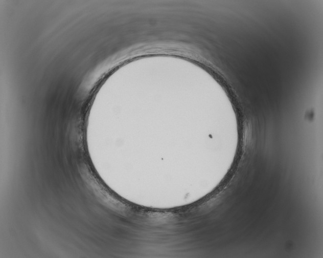 X0000116511498201001061212