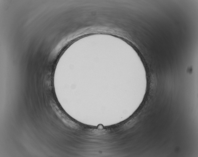 X0000116511499201001061212