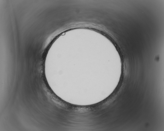 X0000116511501201001061212